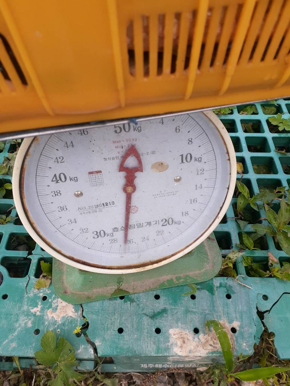 경주 동산낚시터붕어전용잡이터지난주 조황 (유료터정보 - 유료터점주조황)