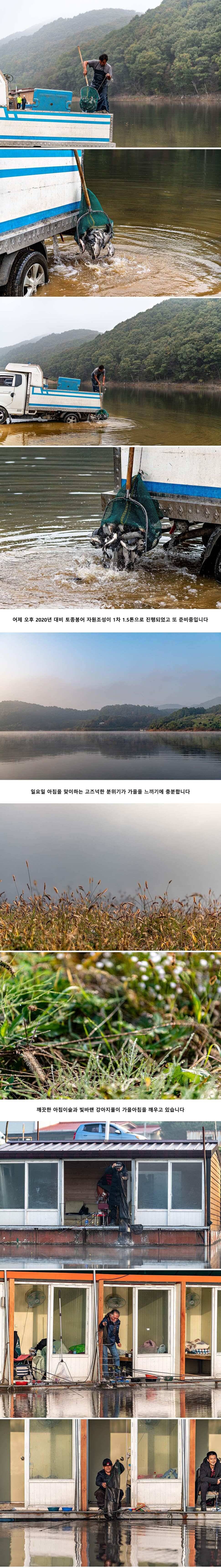 안성 두메낚시터 10월 21일 조황정보 (유료터정보 - 유료터점주조황)