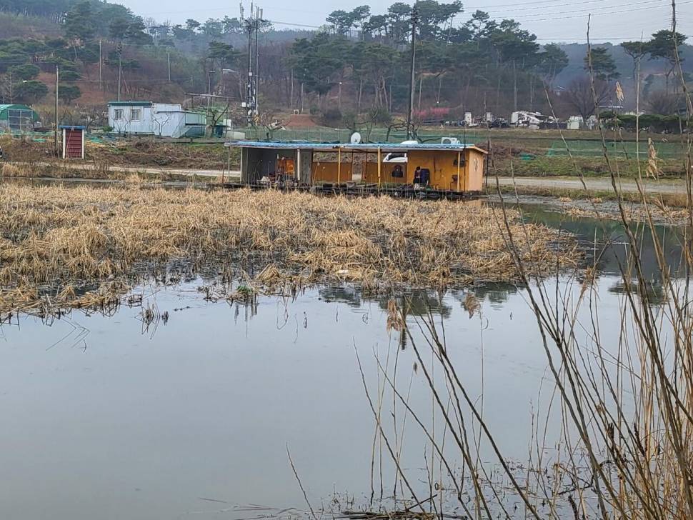 당진 가교리 낚시터 4월 2일 조황입니다 (유료터정보 - 유료터점주조황)