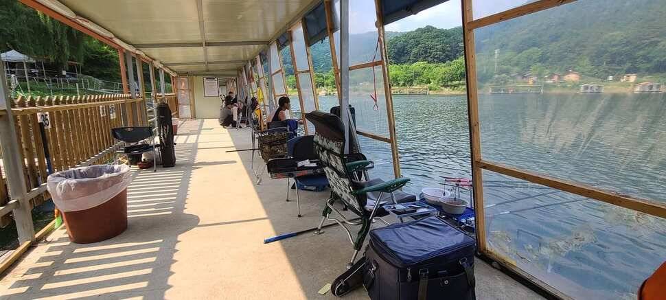 수곡낚시터 6월 세째주 금토 주말조황 및 붕어 방류 (유료터정보 - 유료터점주조황)