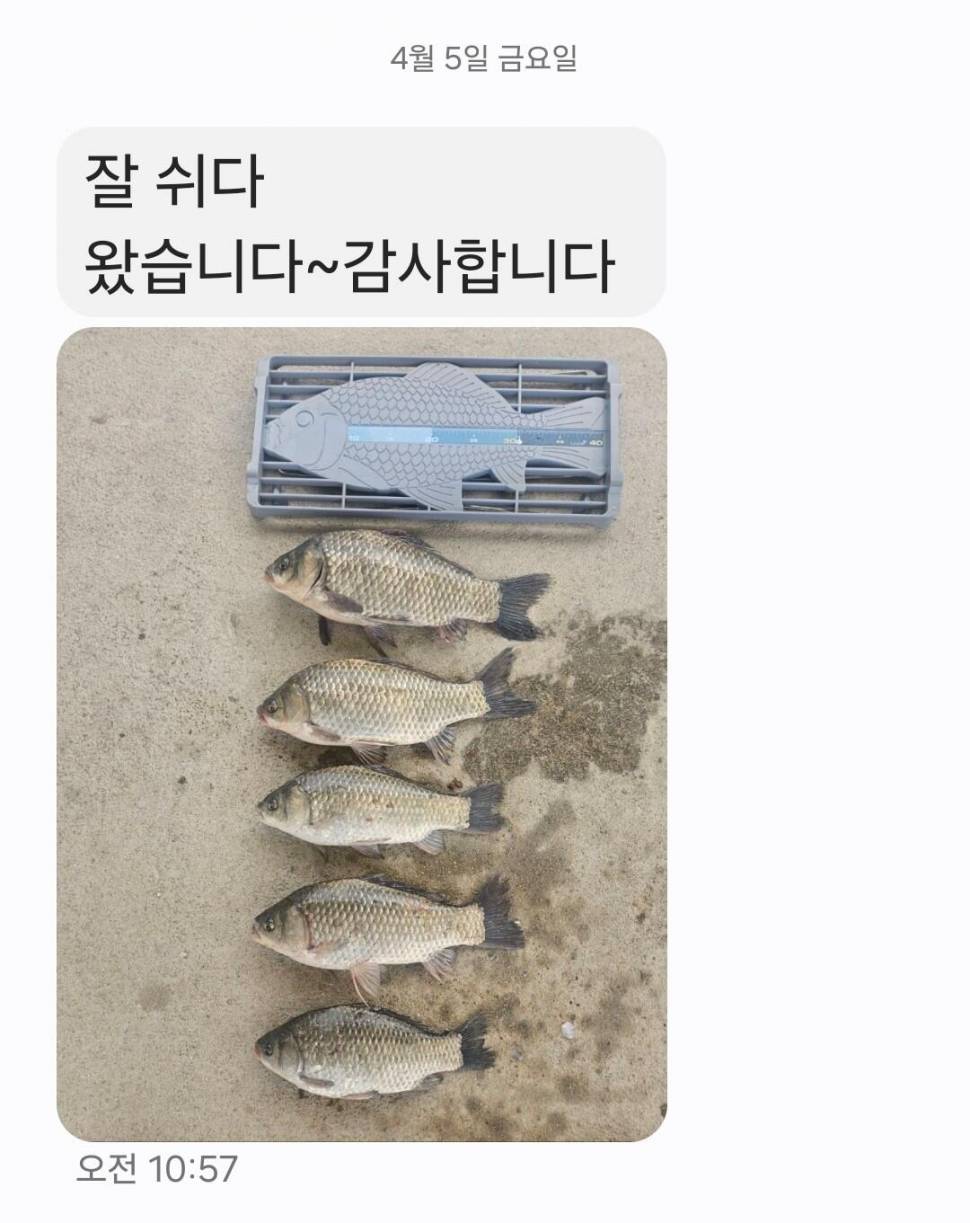 2024년 04월 둘째주 조황정보 용담낚시터사암지 이번주 4짜 1마리 (유료터정보 - 유료터점주조황)