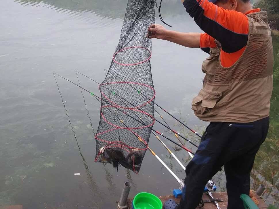 양평 수곡낚시터 붕어낚시 금요일 조황도 고르게 잘 나와주네요 오늘 붕어 방류 완료 (유료터정보 - 유료터점주조황)