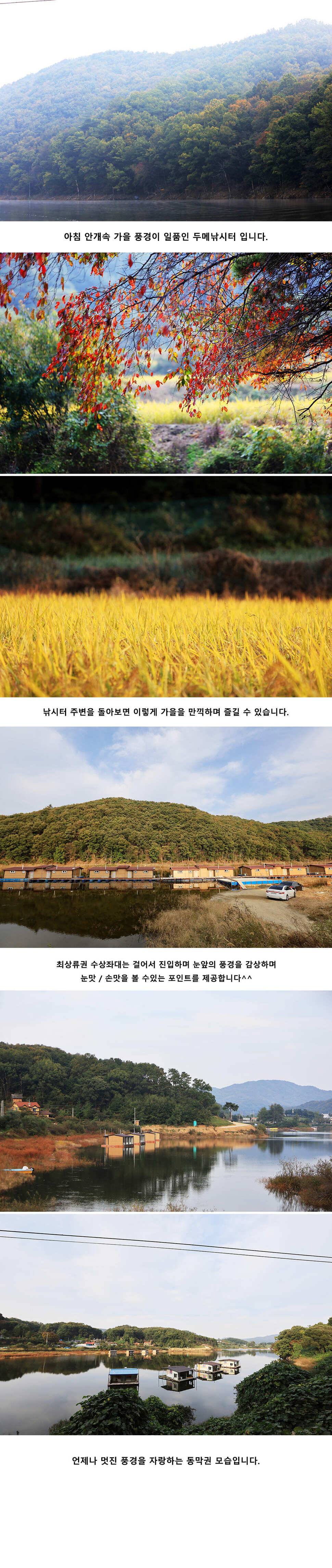 안성 두메낚시터 10월17일 조황안내 (유료터정보 - 유료터점주조황)