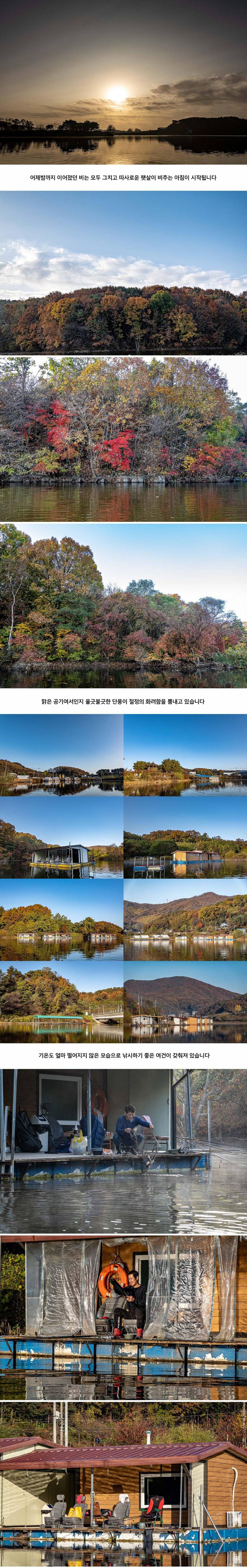 안성 두메낚시터 11월 2일 조황정보 (유료터정보 - 유료터점주조황)