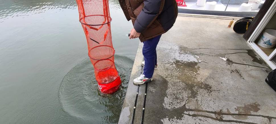 공주 고성낚시터 입니다 (유료터정보 - 유료터점주조황)