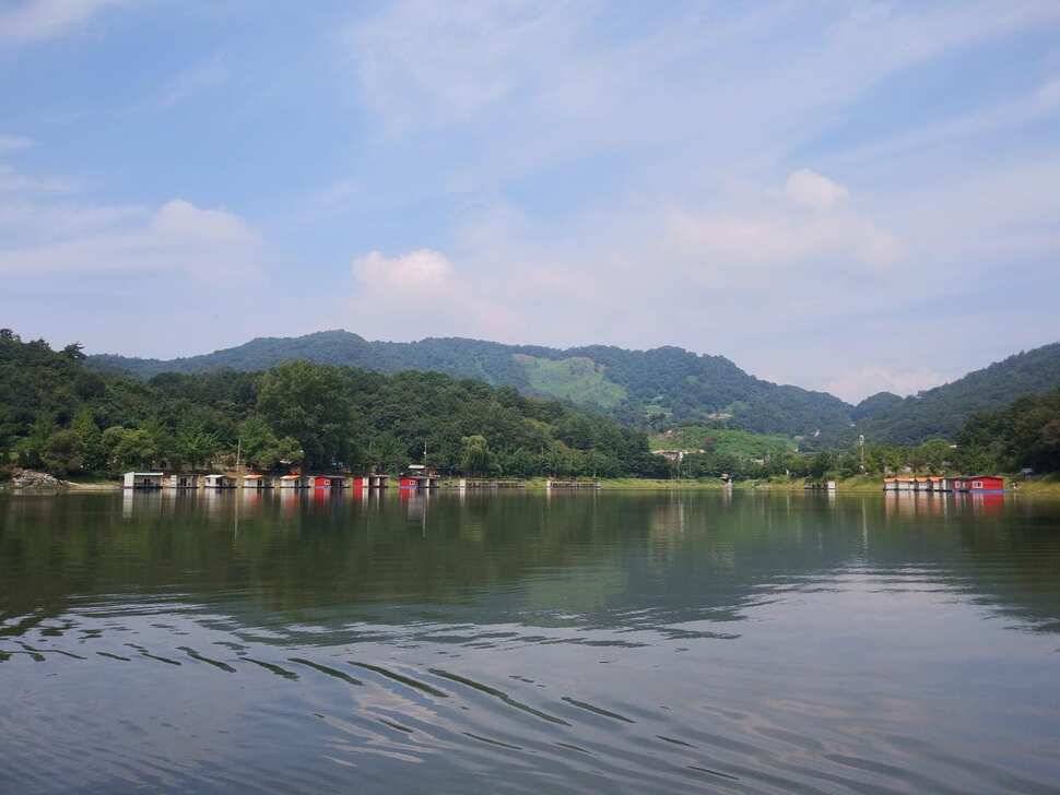 힐링 양평 수곡낚시터 목금요일 편차가 많아 고른 조황이 나오지 못했네요 오늘 붕어방류 완료 (유료터정보 - 유료터점주조황)
