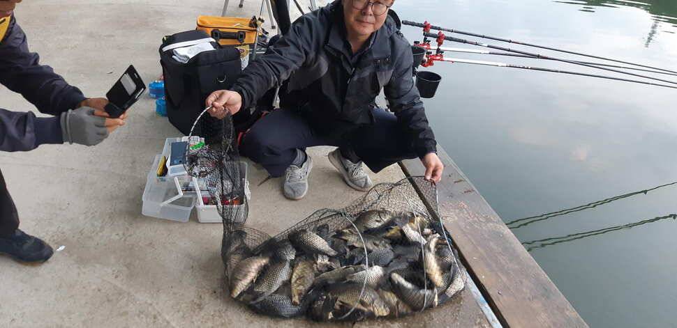 양평 수곡낚시터 9월28 오늘도 고르게 좋은 조황이 이어지고 있네요 오늘 붕어방류 완료하였습니다 (유료터정보 - 유료터점주조황)