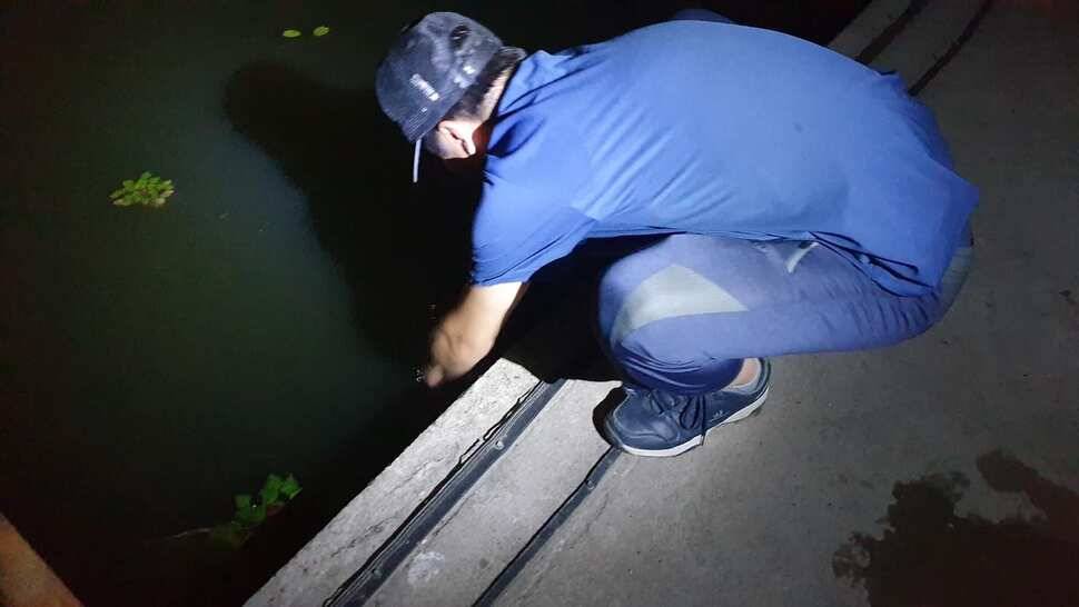 아산 명품 월랑낚시터 6월 두번째 조황이야기입니다 (유료터정보 - 유료터점주조황)