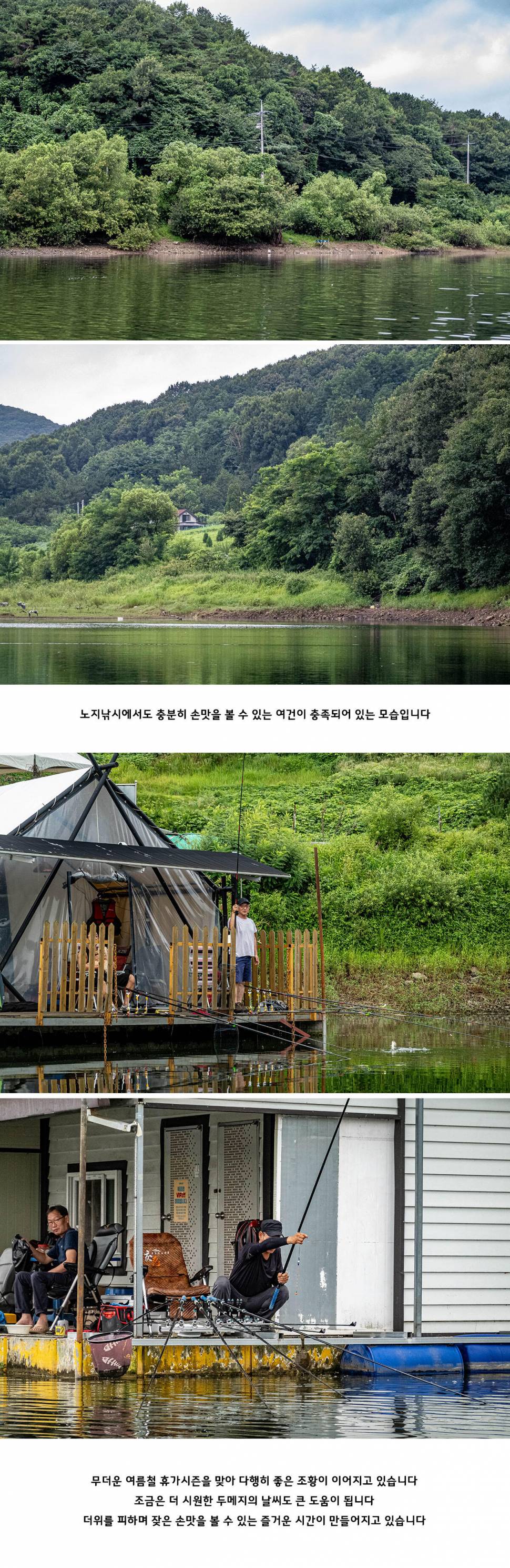 안성 두메낚시터 8월 7일 조황정보 (유료터정보 - 유료터점주조황)