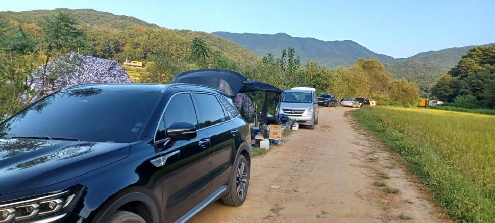 어우실지 기온이 뚝 떨어져야 될듯합니다 마릿수입니다 (유료터정보 - 유료터점주조황)