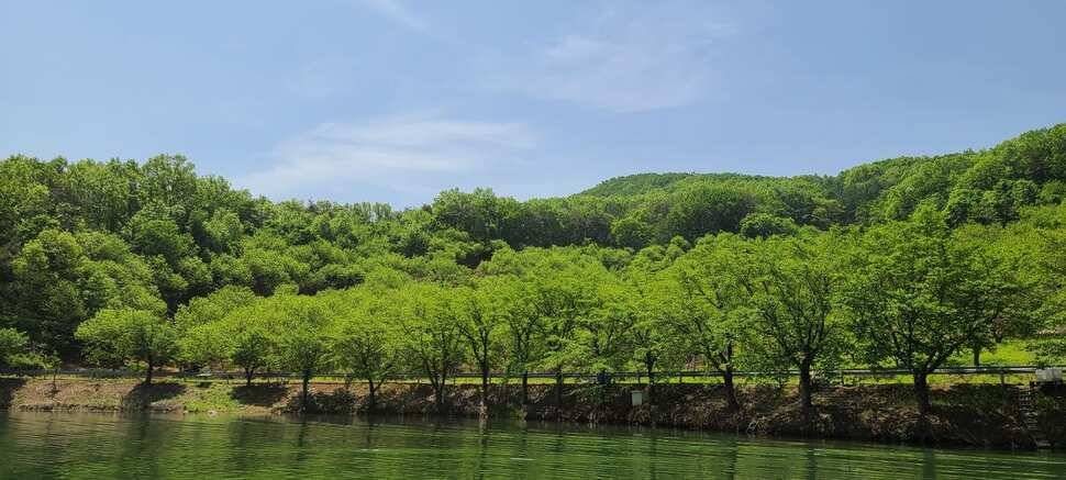 공주 고성낚시터 입니다 (유료터정보 - 유료터점주조황)