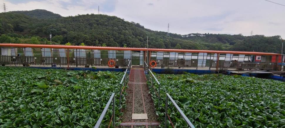 10월둘쨋주 힐링 수곡낚시터 주초 조황 및 방류 소식 (유료터정보 - 유료터점주조황)