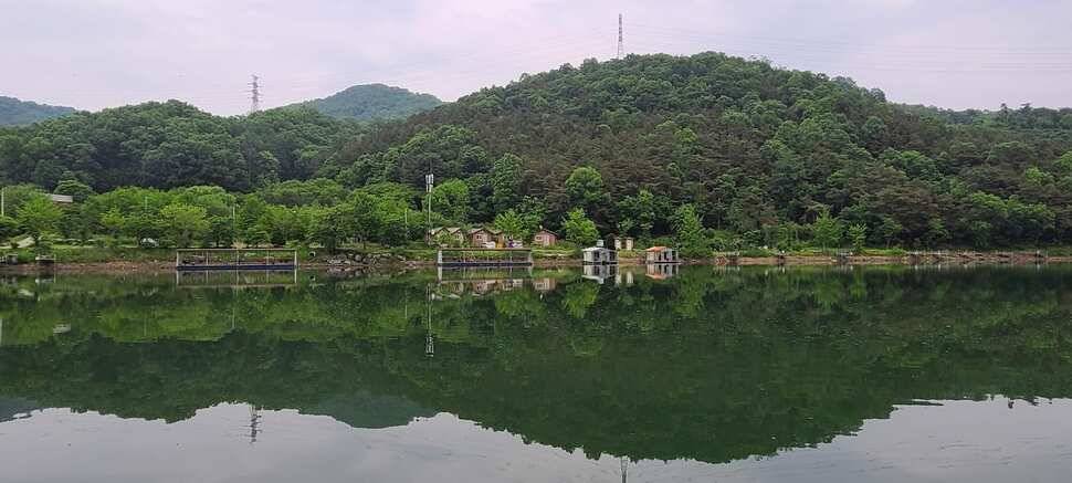 수곡지 양평 수곡낚시터 5월네째주 주말 조황 입질시간대 파악이 중요한듯합니다 (유료터정보 - 유료터점주조황)