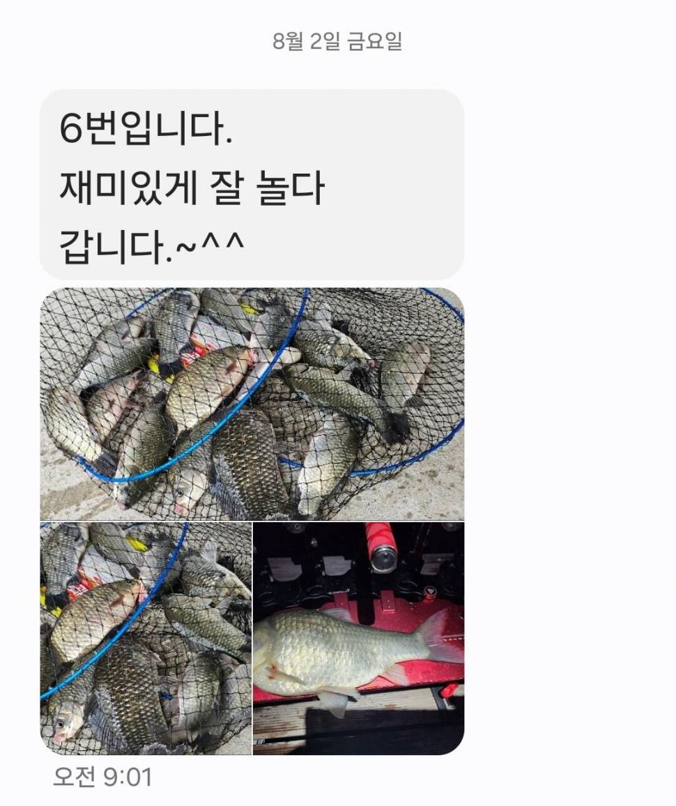 2024년 8월 둘째주 조황정보 용담낚시터사암지4짜 3마리 (유료터정보 - 유료터점주조황)