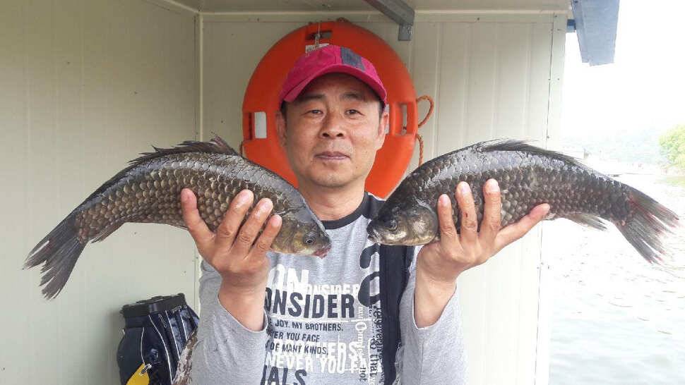 송전지 창신좌대 조황정보 (유료터정보 - 유료터점주조황)