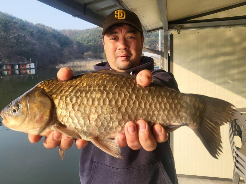 4짜 무더기 호조황 지금이 적기입니다 출조 하세요 (유료터정보 - 유료터점주조황)