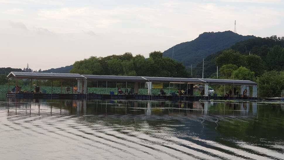 아산 명품 월랑낚시터 9월 첫번째 조황이야기입니다 (유료터정보 - 유료터점주조황)