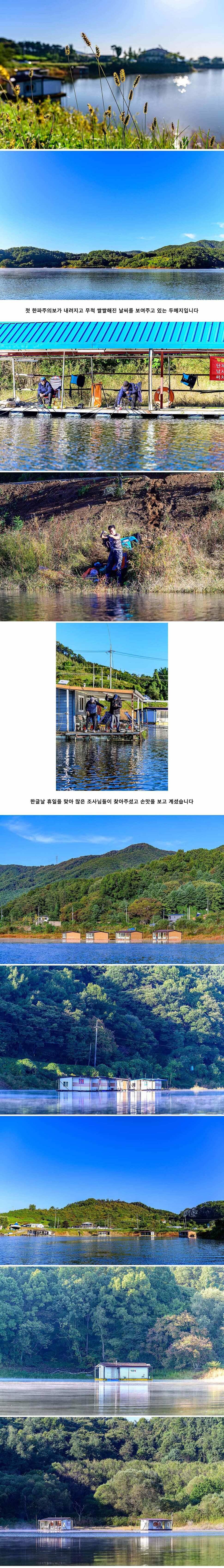 안성 두메낚시터 10월 9일 조황정보 (유료터정보 - 유료터점주조황)
