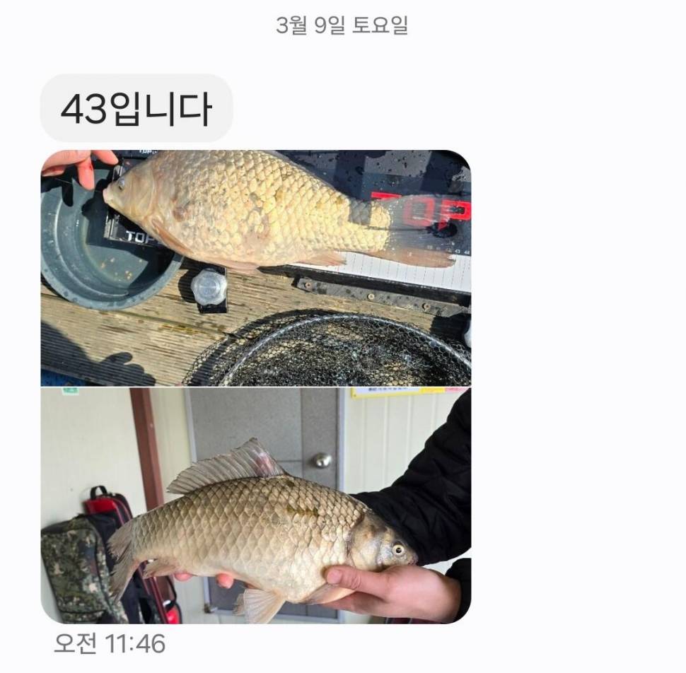 2024년 03월 둘째주 조황정보 용담낚시터사암지 (유료터정보 - 유료터점주조황)