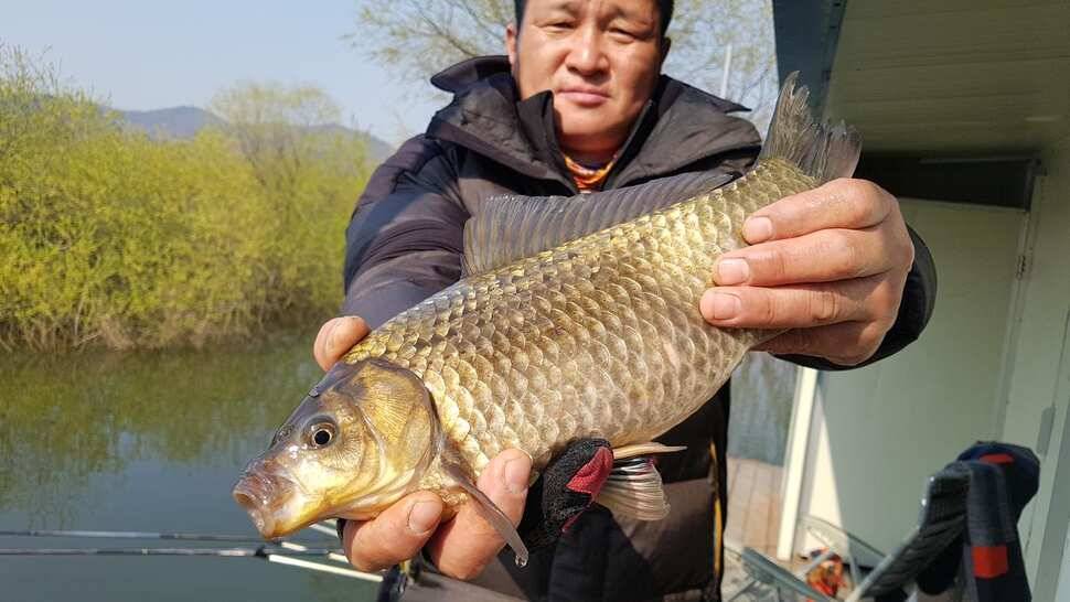 송전지 붕어 참 예쁘네요 (유료터정보 - 유료터점주조황)