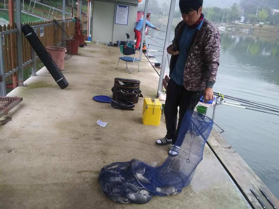 양평 수곡낚시터 붕어낚시 금요일 조황도 고르게 잘 나와주네요 오늘 붕어 방류 완료 (유료터정보 - 유료터점주조황)