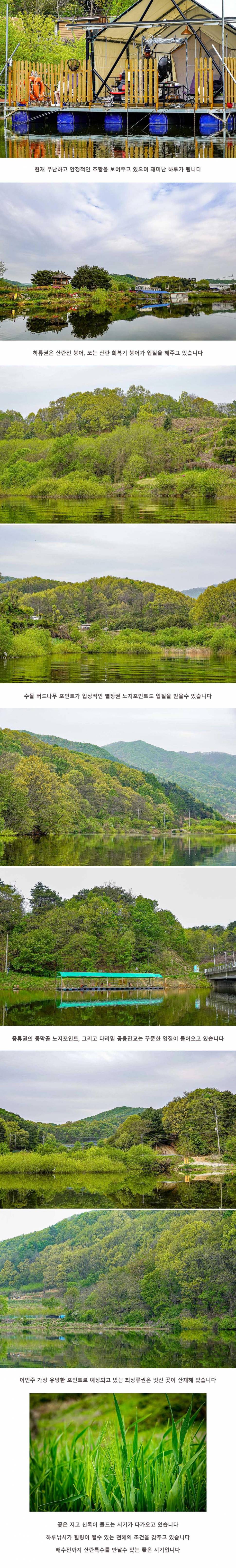 안성 두메낚시터 4월 22일 조황정보 (유료터정보 - 유료터점주조황)