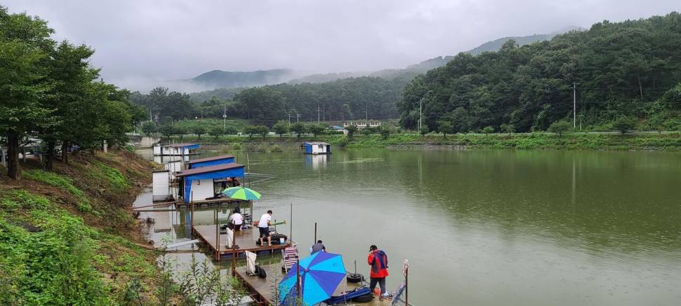 공주 고성낚시터 입니다 (유료터정보 - 유료터점주조황)