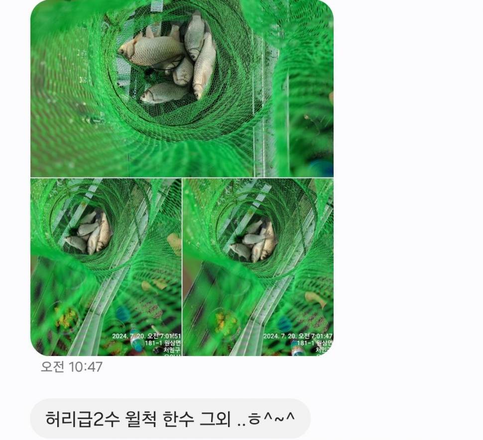 2024년 7월 마지막주 조황정보 용담낚시터사암지4짜 1마리 (유료터정보 - 유료터점주조황)