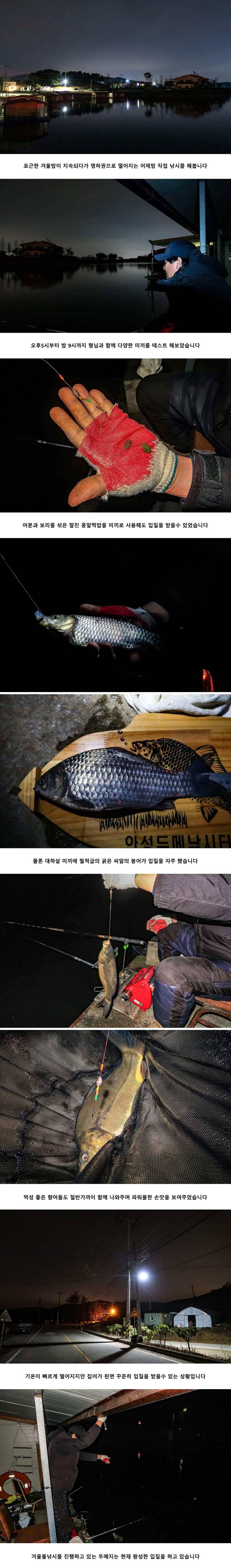 안성 두메낚시터 12월 19일 조황정보 (유료터정보 - 유료터점주조황)