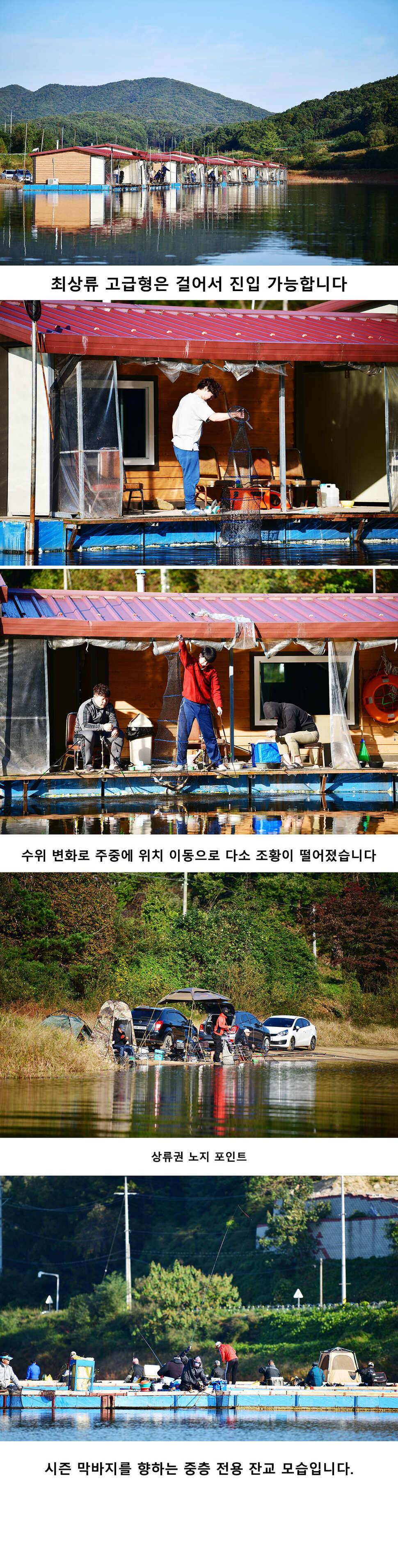 안성 두메낚시터 10월13일 조황안내 (유료터정보 - 유료터점주조황)