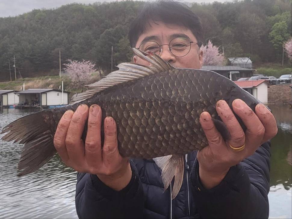 빵붕어가 들어간다 쭉쭉쭉쭉 (유료터정보 - 유료터점주조황)