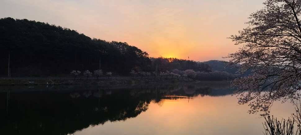 공주 고성낚시터 입니다 (유료터정보 - 유료터점주조황)