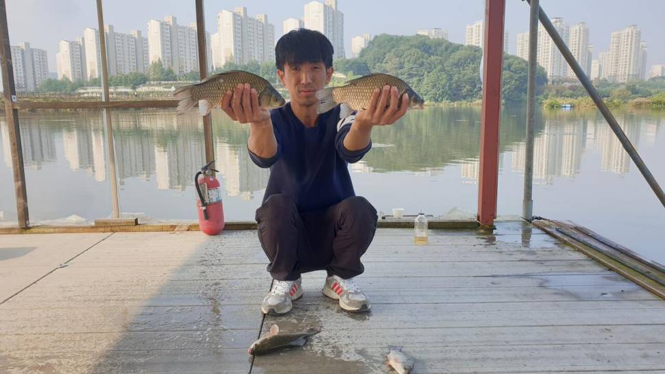 아산 명품 월랑낚시터 10월 첫번째 조황이야기입니다 (유료터정보 - 유료터점주조황)