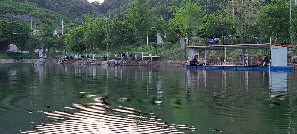 양평 수곡 낚시터 주중 조황도 꾸준합니다 오늘도 붕어방류 완료했습니다 (유료터정보 - 유료터점주조황)