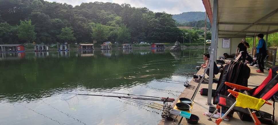 양평 지평 수곡낚시터 주말조황 5짜 붕어 포함 고르게 잘 나와주네요 (유료터정보 - 유료터점주조황)
