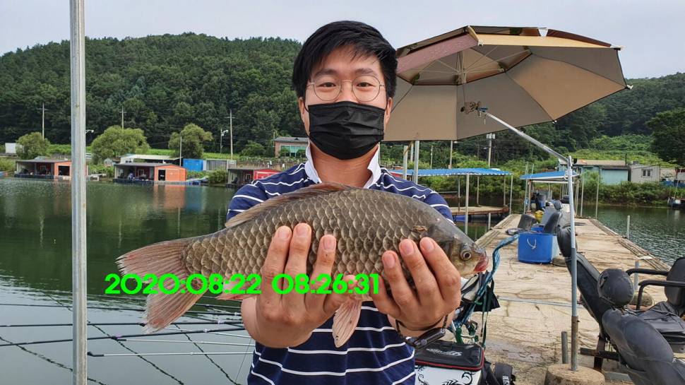 신원낚시터 8월27일 토종붕어 45짜리와 덩어리들 사진입니다 (유료터정보 - 유료터점주조황)