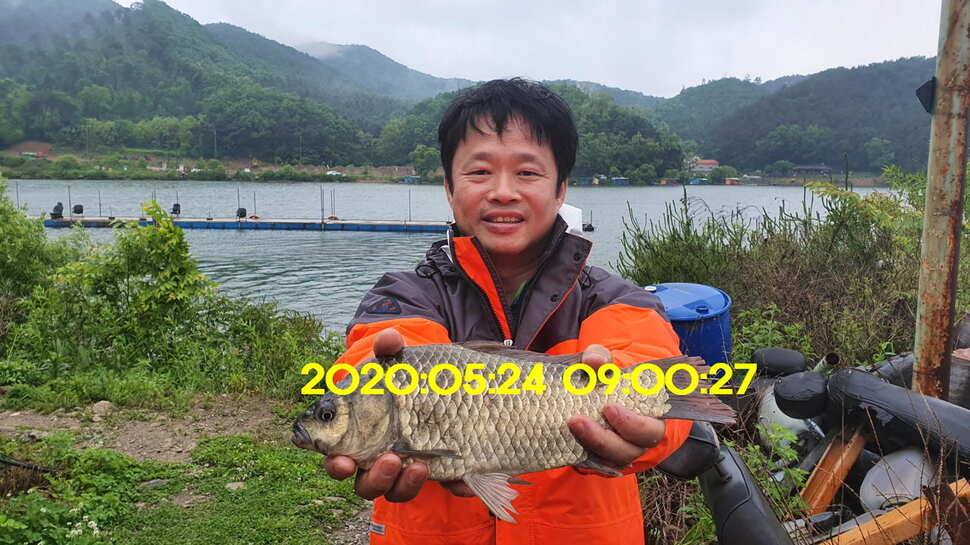 신원낚시터 5월25일 토종대물 43짜리와 덩어리 사진입니다 (유료터정보 - 유료터점주조황)