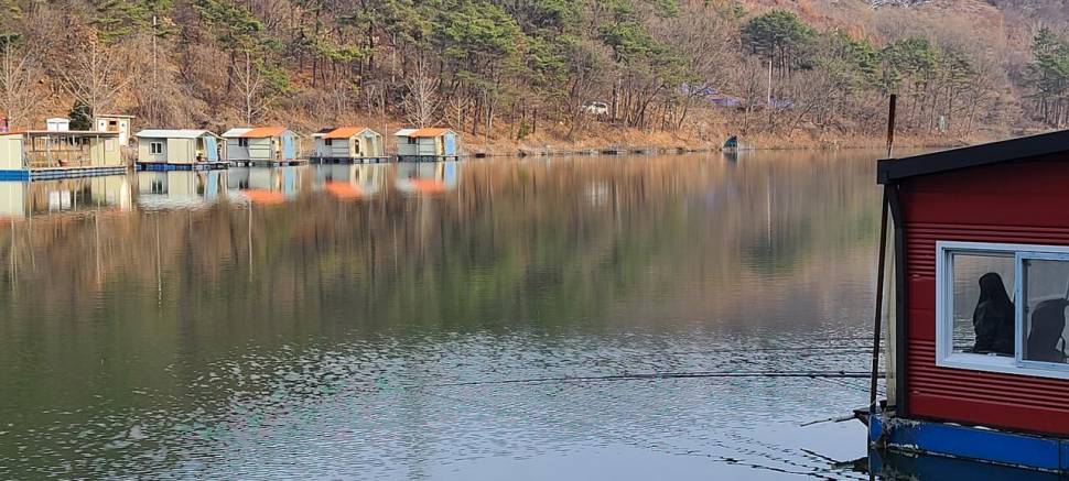 양평 수곡낚시터 3월 첫주 주중 조황 안내 (유료터정보 - 유료터점주조황)