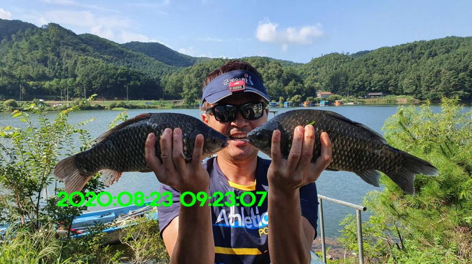 신원낚시터 8월27일 토종붕어 45짜리와 덩어리들 사진입니다 (유료터정보 - 유료터점주조황)