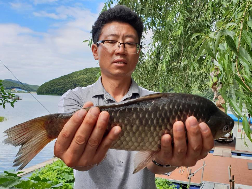 송전지서울좌대7월27일조황 (유료터정보 - 유료터점주조황)