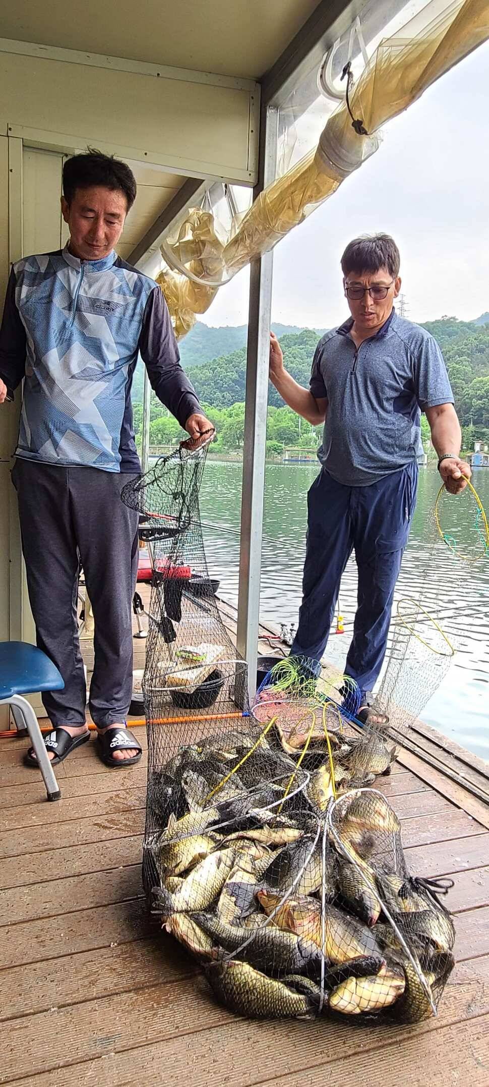 수곡낚시터 상중하류권 모두 고른 조황이 이어집니다 (유료터정보 - 유료터점주조황)