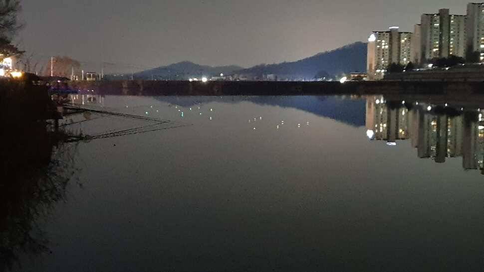 아산 명품 월랑낚시터 3월 두번째 조황이야기입니다 (유료터정보 - 유료터점주조황)