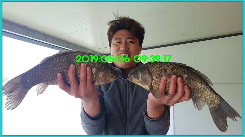 신원낚시터 토종대물 덩어리와 4짜가 계속 나옵니다쭉 (유료터정보 - 유료터점주조황)