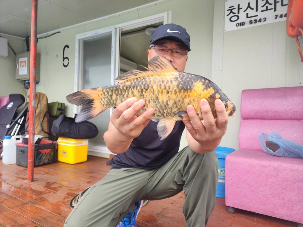 송전지 창신좌대 조황정보 (유료터정보 - 유료터점주조황)