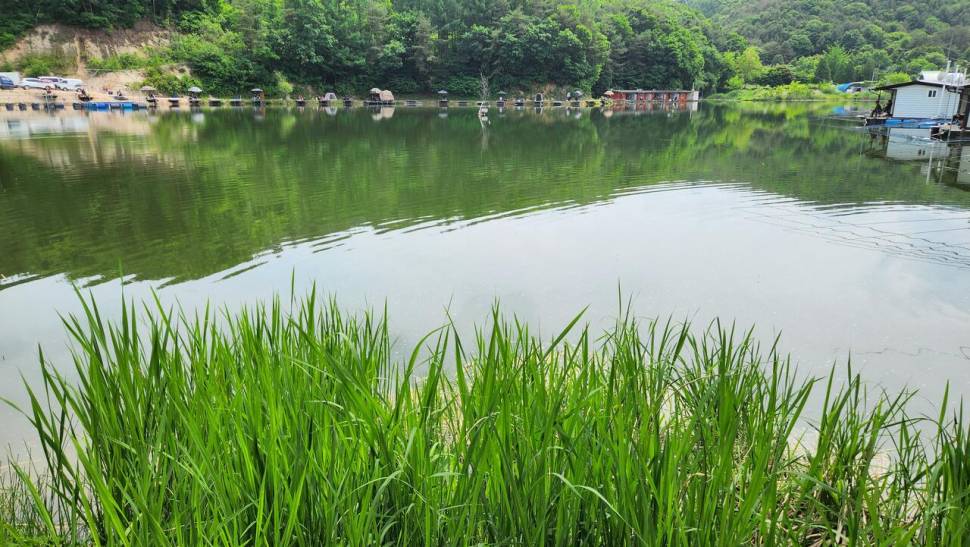 하룻저녁 4짜 5마리씩 무려 세분께서 (유료터정보 - 유료터점주조황)
