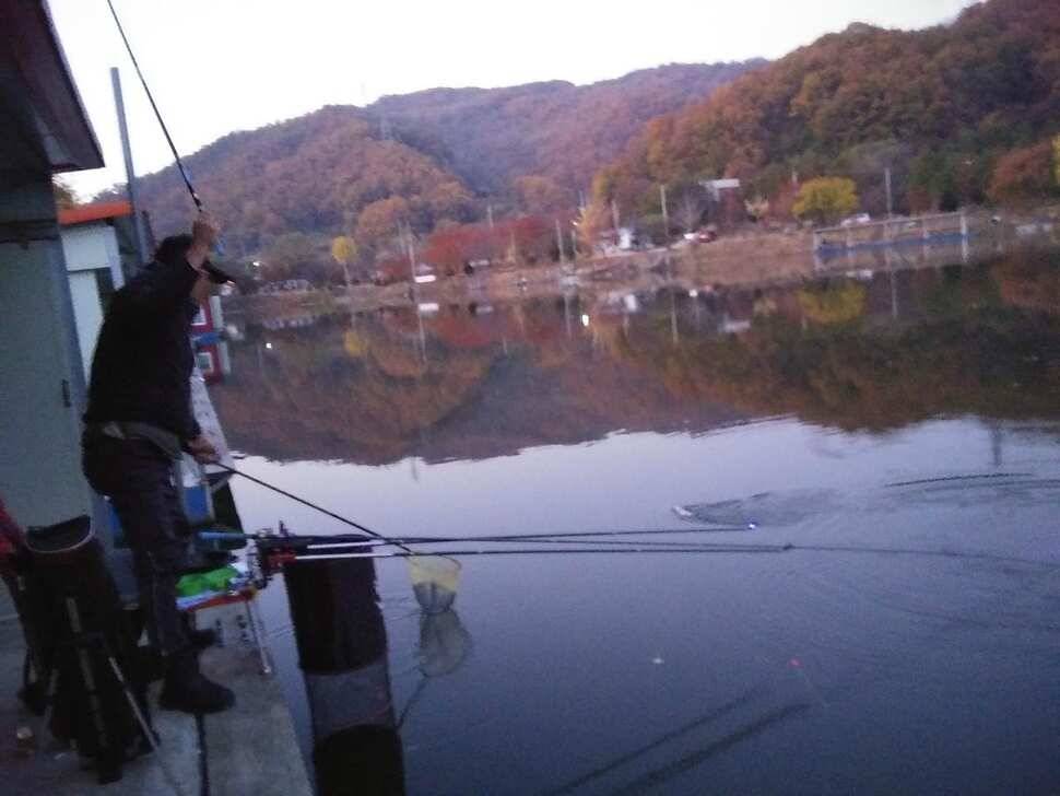 양평 붕어낚시터 수곡낚시터 입도에 더 좋은 조황이 나와주네요 (유료터정보 - 유료터점주조황)