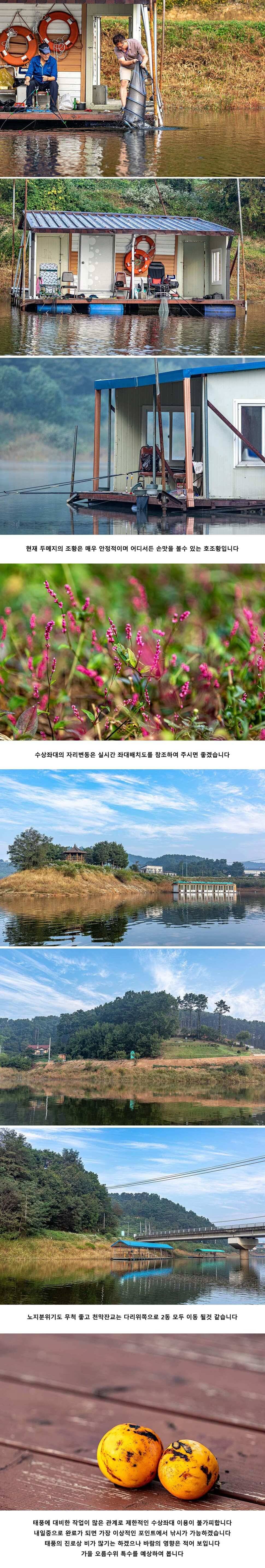 안성 두메낚시터 10월 1일 조황정보 (유료터정보 - 유료터점주조황)