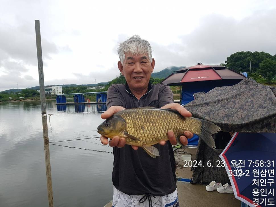 2024년 6월 넷째주 조황정보 용담낚시터사암지 22일토요일 비오는날 사짜만 12마리 (유료터정보 - 유료터점주조황)