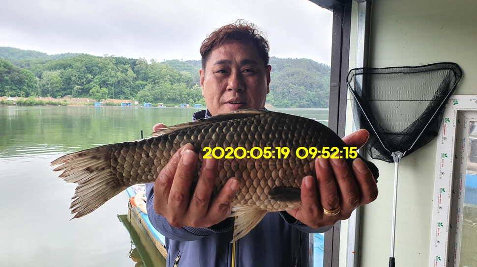 신원낚시터 6월5일 토종대물 덩어리 사진들 입니다 (유료터정보 - 유료터점주조황)