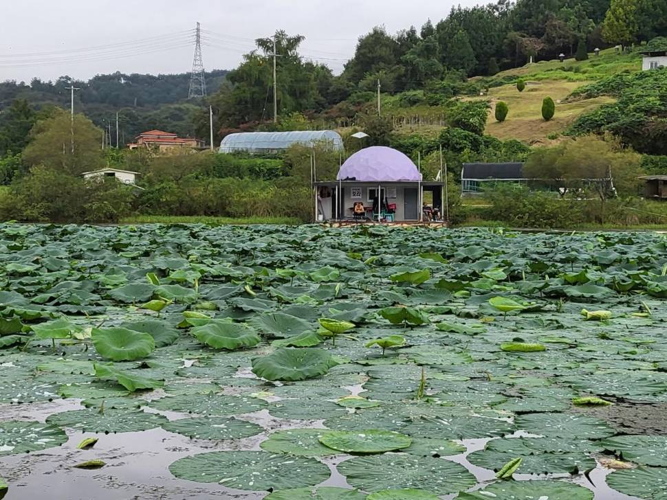 당진 가교리 낚시터 9월 20일 조황입니다 (유료터정보 - 유료터점주조황)